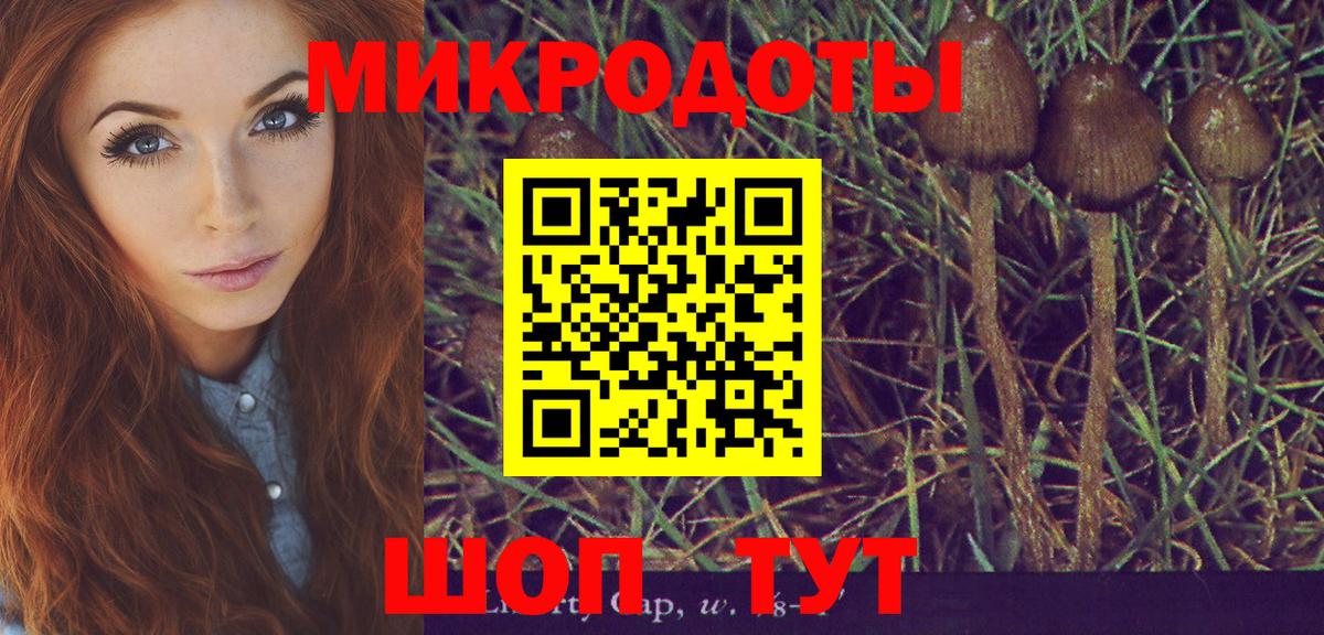 Галлюциногенные грибы прущие грибы  Вход с VPN  Павловский Посад  Галлюциногенные грибы GOLDEN TEACHER 