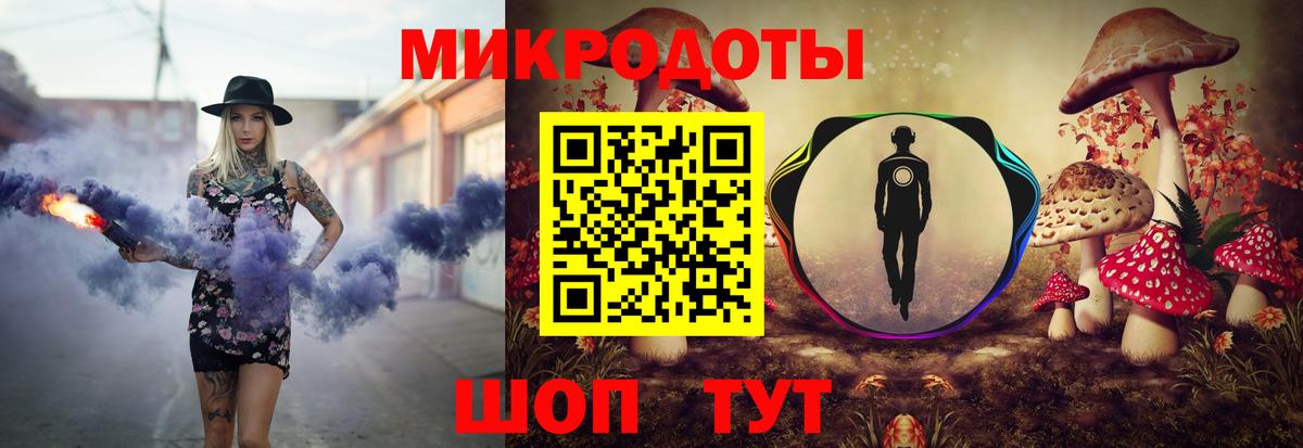 Галлюциногенные грибы Psilocybe Павловский Посад
